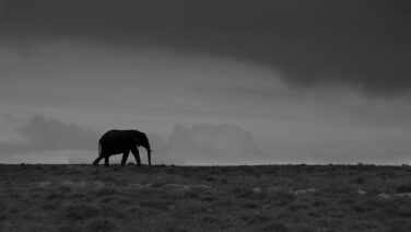 世界 歴史 ワンピース13番ドック