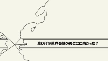 考察 黒ひげは世界会議の後どこに向かった メラメラの実を奪いに行ったのか ワンピース ワンピース13番ドック