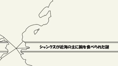 考察 シャンクスが近海の主に腕を食べられた謎 悪魔の実の能力者 ワンピース ワンピース13番ドック