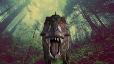 考察 ヤマトの正体とは 恐竜の能力者 ドラゴン 鬼の種族 ワンピース ワンピース13番ドック
