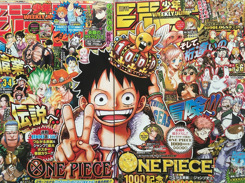 One Piece 衣裳 ウォーター園生 チョッパーと宝 Whirledpies Com