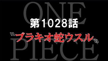 ストーリー ワンピース13番ドック