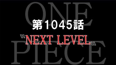 ワンピース13番ドック One Pieceワンピースの伏線 謎 考察